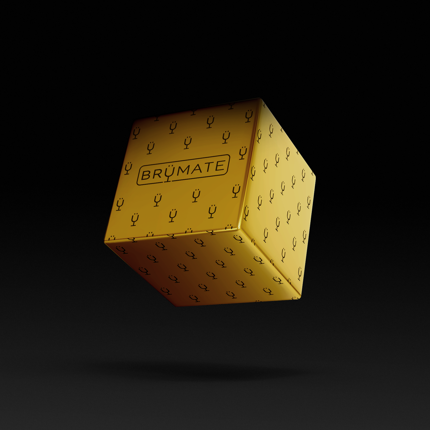 premium-mystery-item-39-70-value-y7 IMG-1548.png