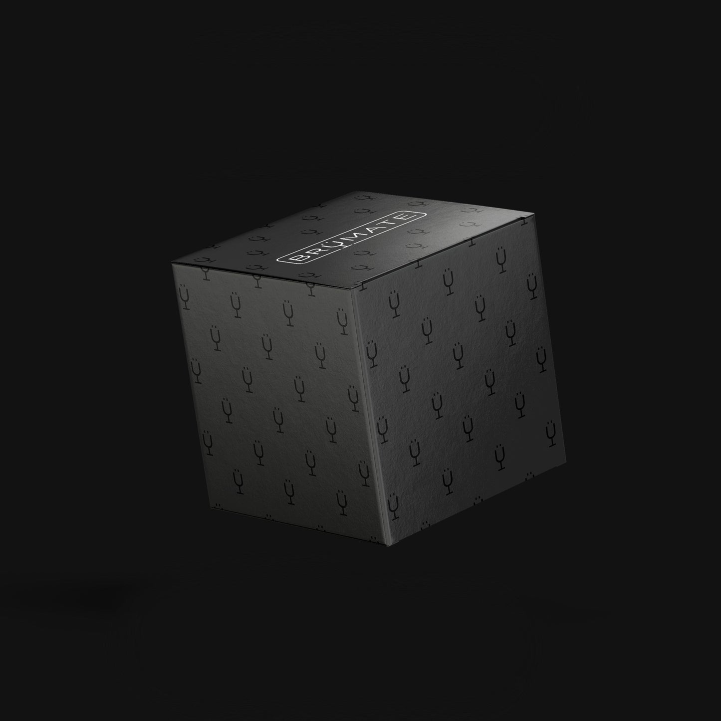 mystery-item-24-49-value-i7 Mystery-Box-FINAL.jpg